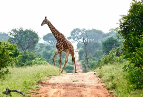9-Night South African Adventure CME AWAY Land Tour – February 13-22 2024