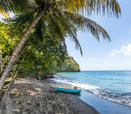 Sandals Saint Vincent & the Grenadines-January 09-16, 2025