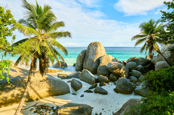 Seychelles & Indian Ocean – February 19 – March 5, 2025