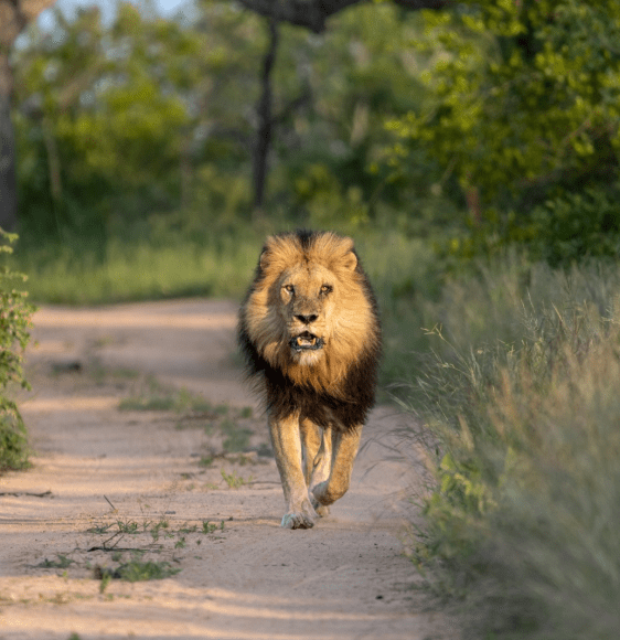 South Africa – January 30 – February 8, 2027