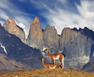 Patagonia: Edge of the World – November 11 – 25, 2026